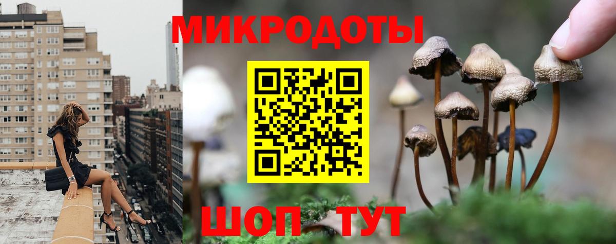 Галлюциногенные грибы Psilocybine cubensis Нальчик
