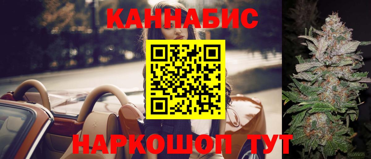 Каннабис сатива Нальчик